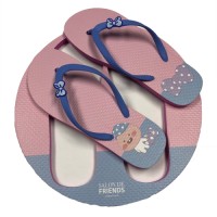 Wholesale Promotion Board Flip Flop